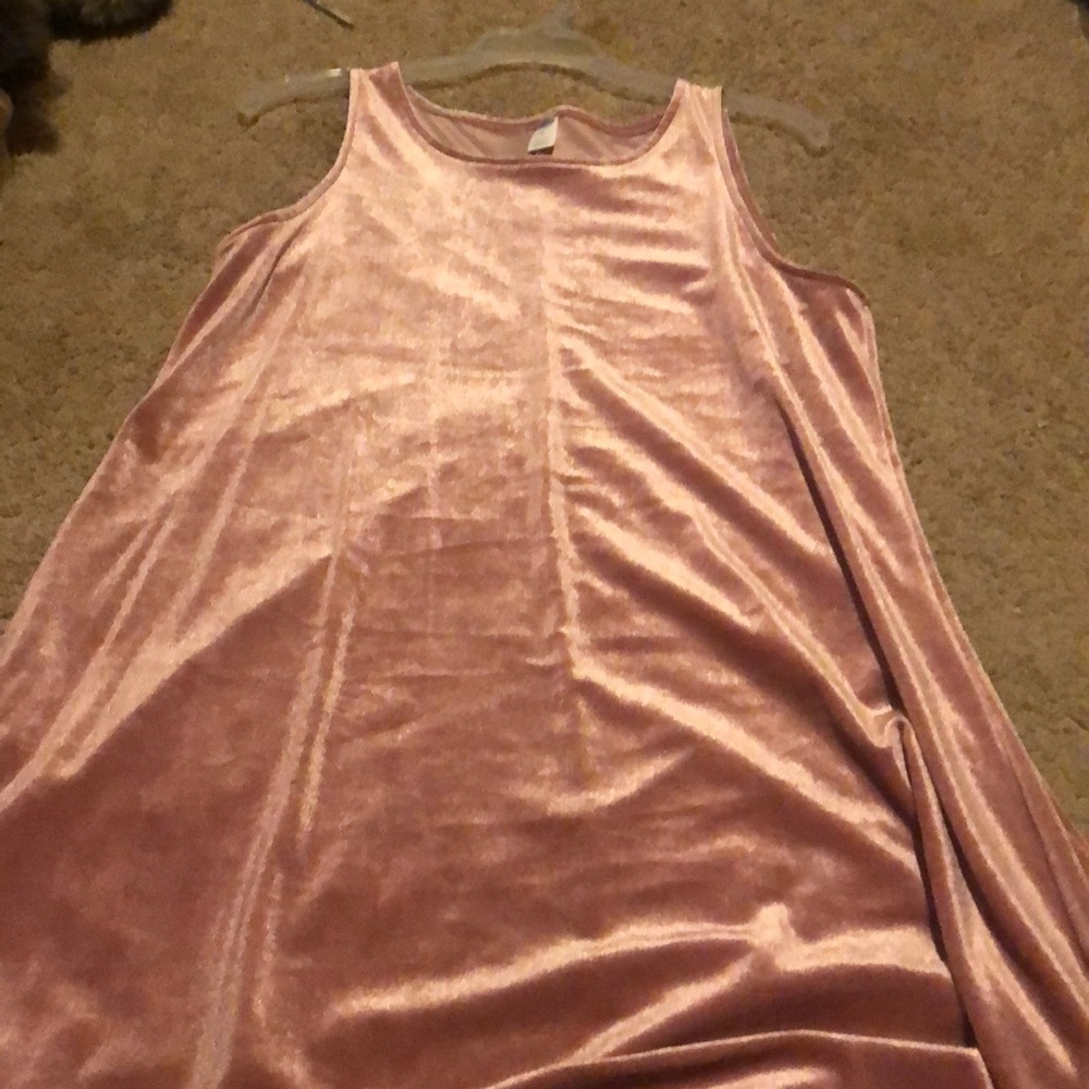 Velvet moth colored dress